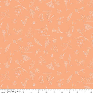 DEAL Wildwood Wander Sketchbook C12432 Peach - Riley Blake Designs - Line-Drawn Flowers Floral Text - Quilting Cotton