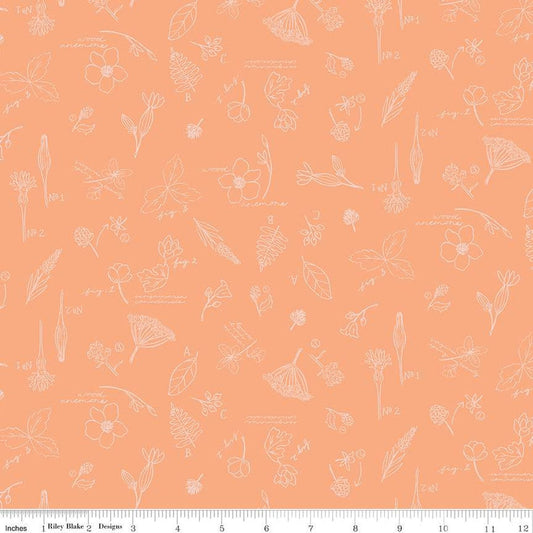 DEAL Wildwood Wander Sketchbook C12432 Peach - Riley Blake Designs - Line-Drawn Flowers Floral Text - Quilting Cotton