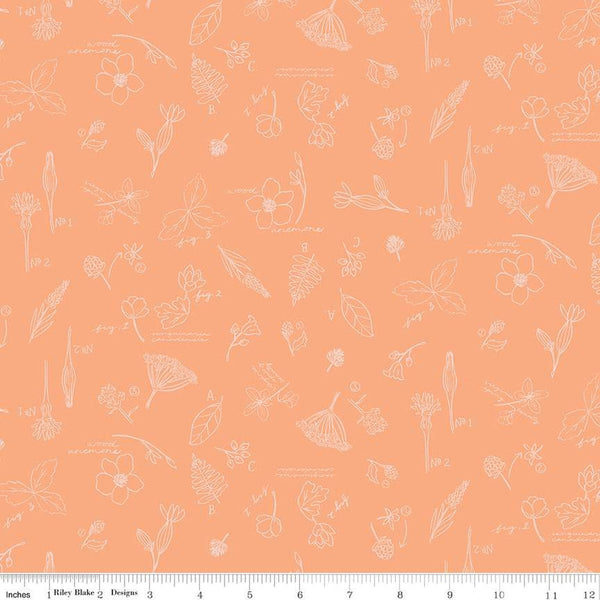 SALE Wildwood Wander Sketchbook C12432 Peach - Riley Blake Designs - Line-Drawn Flowers Floral Text - Quilting Cotton