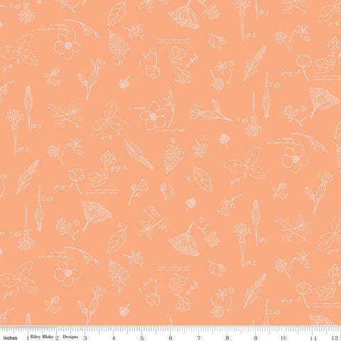 Wildwood Wander Sketchbook C12432 Peach - Riley Blake Designs - Line-Drawn Flowers Floral Text - Quilting Cotton