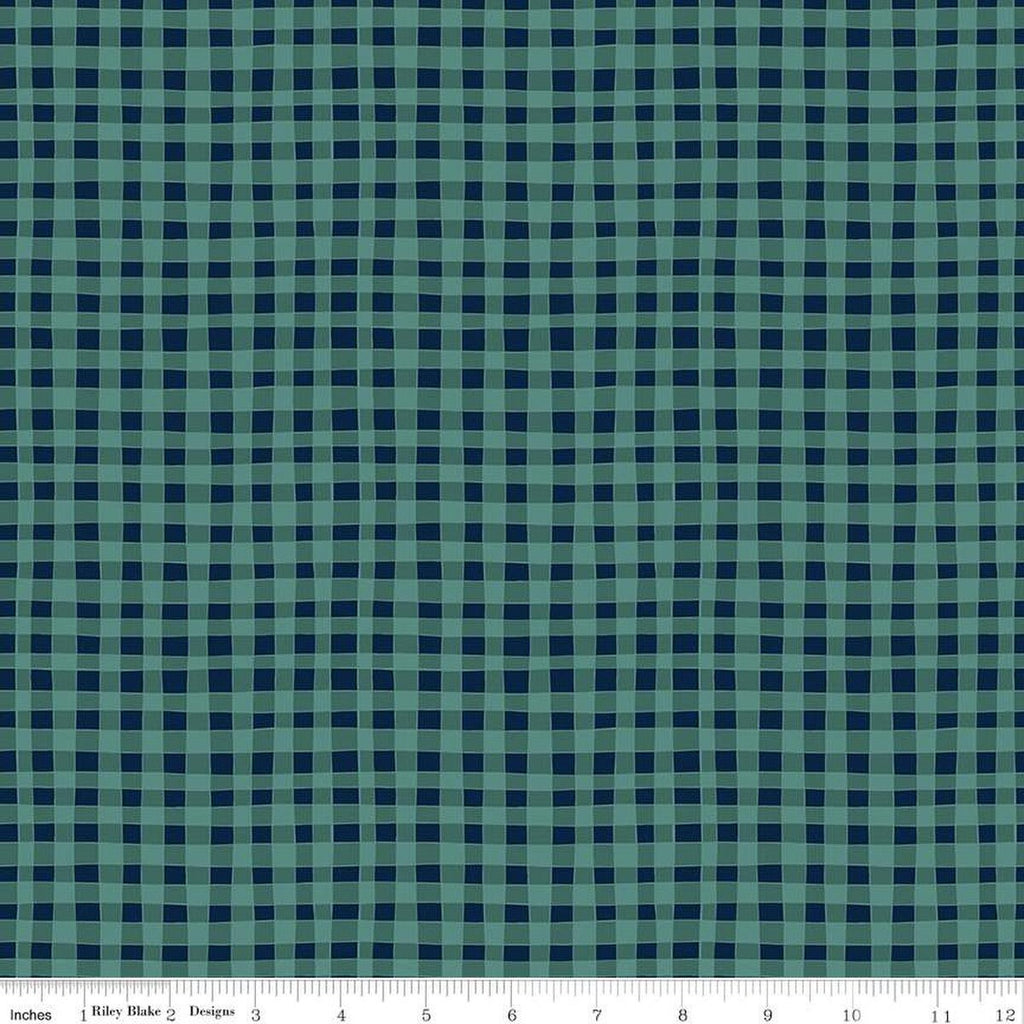 SALE Love You S'more PRINTED Gingham C12143 Teal by Riley Blake Designs - Camp Camping Irregular Checks - Quilting Cotton Fabric