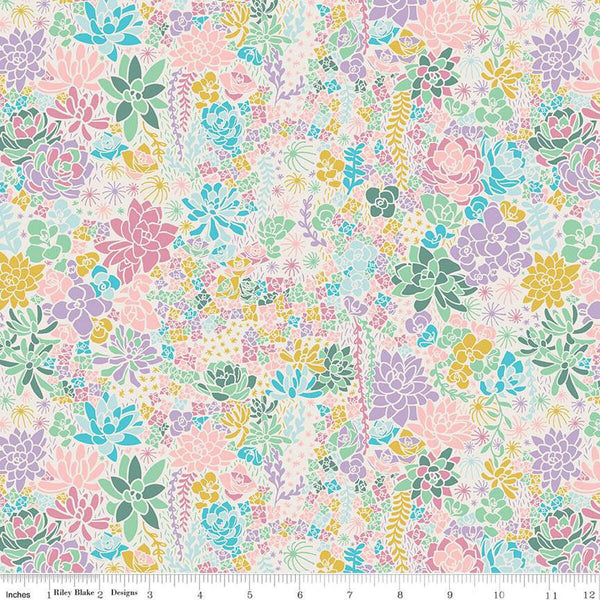 SALE Arid Oasis Main C12490 Off White by Riley Blake Designs - Succulents Succulent Plants - Quilting Cotton Fabric