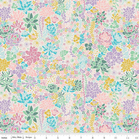 Arid Oasis Main C12490 Off White by Riley Blake Designs - Succulents Succulent Plants - Quilting Cotton Fabric