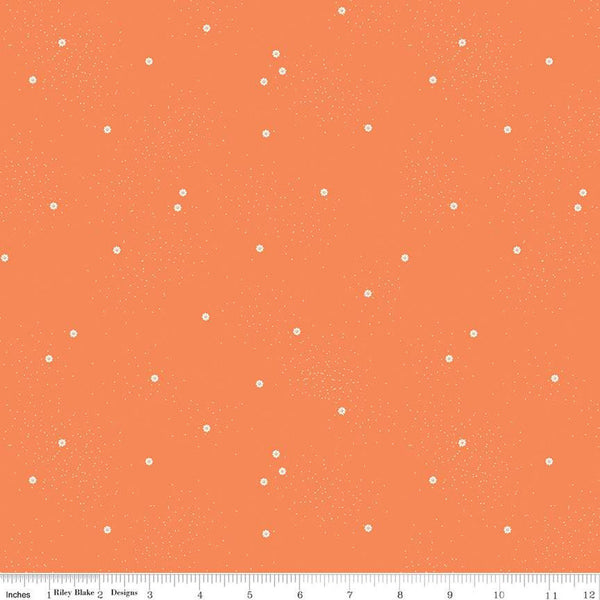 33" End of Bolt - CLEARANCE Dainty Daisy C665 Pumpkin - Riley Blake Designs - White Daisies Floral Flowers Pin Dots - Quilting Cotton Fabric