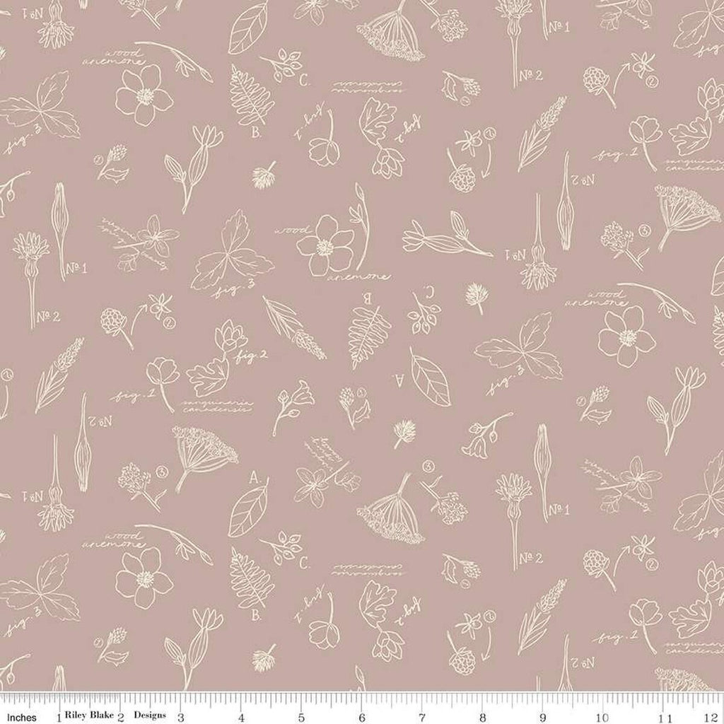 SALE Wildwood Wander Sketchbook C12432 Taupe - Riley Blake Designs - Line-Drawn Flowers Floral Text - Quilting Cotton