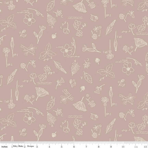 SALE Wildwood Wander Sketchbook C12432 Taupe - Riley Blake Designs - Line-Drawn Flowers Floral Text - Quilting Cotton