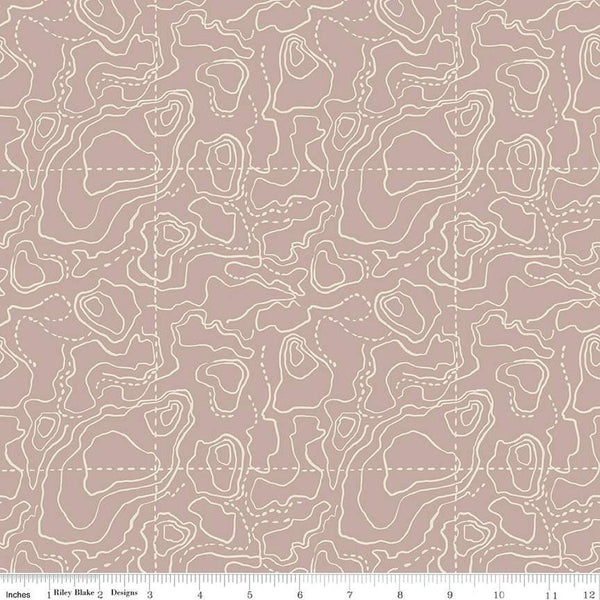 25" End of Bolt - CLEARANCE Wildwood Wander Topographic C12434 Taupe - by Riley Blake Designs - Tone-on-Tone Map - Quilting Cotton Fabric