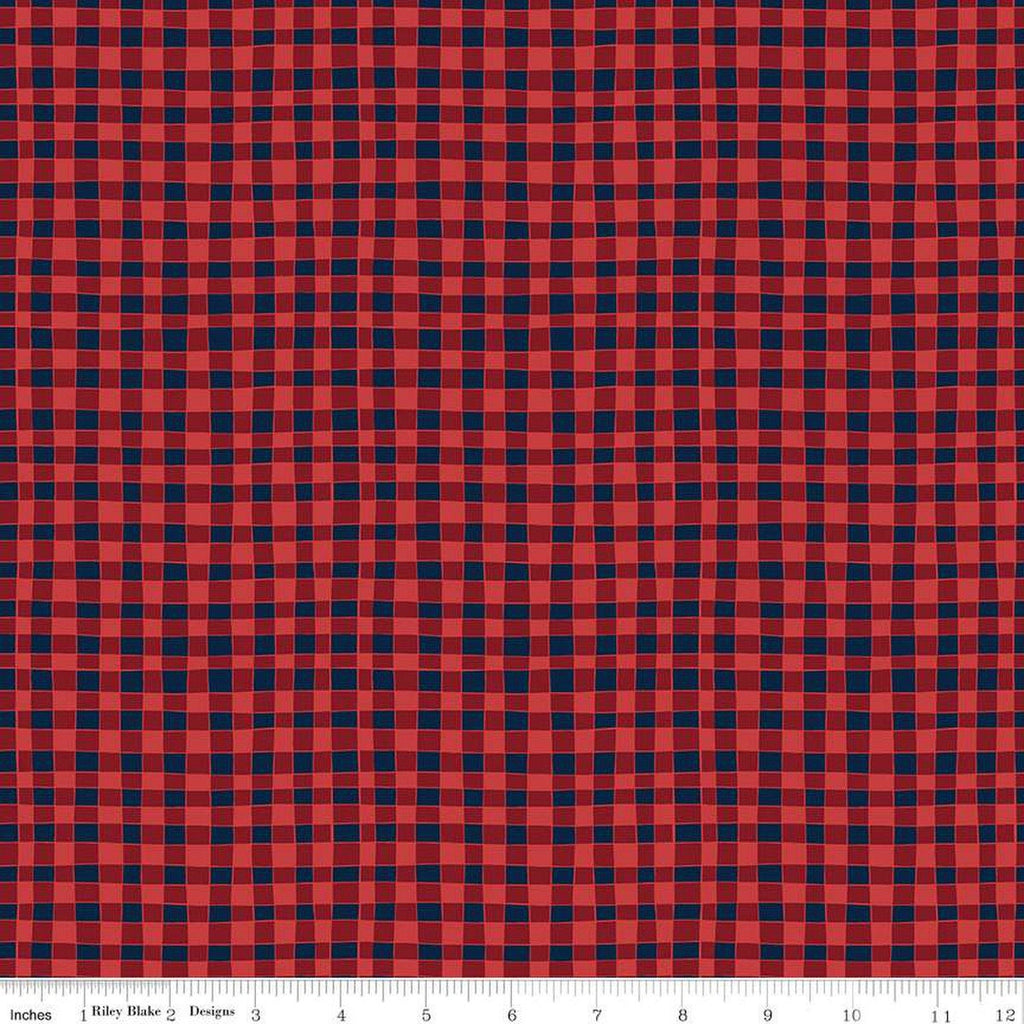 Love You S'more PRINTED Gingham C12143 Red by Riley Blake - Camp Camping Irregular Navy Blue/Red Checks - Quilting Cotton Fabric