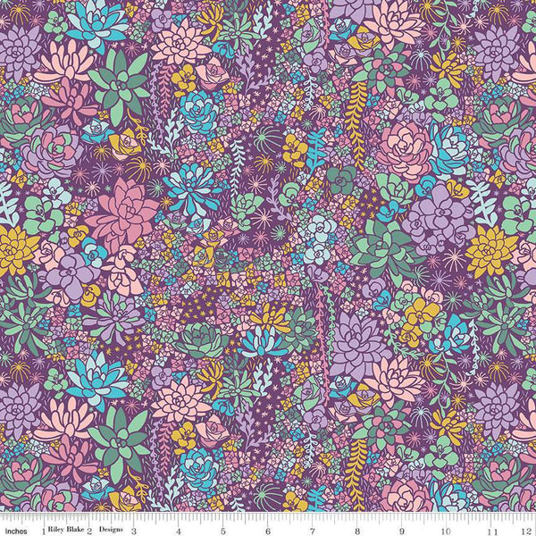 SALE Arid Oasis Main C12490 Grape by Riley Blake Designs - Succulents Succulent Plants - Quilting Cotton Fabric