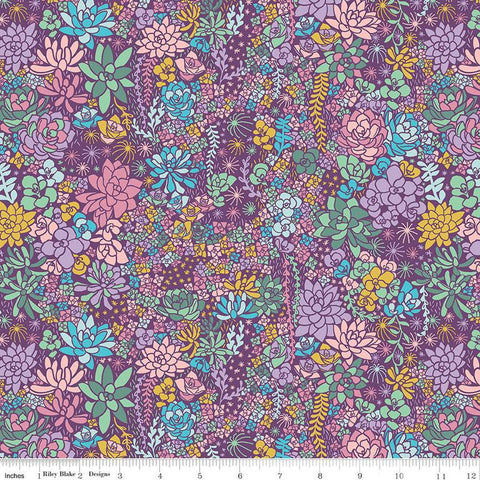 Arid Oasis Main C12490 Grape by Riley Blake Designs - Succulents Succulent Plants - Quilting Cotton Fabric
