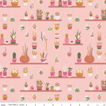 CLEARANCE Arid Oasis Hanging Garden C12491 Pink by Riley Blake Designs - Cactus Cacti Succulents Succulent Plants - Quilting Cotton Fabric