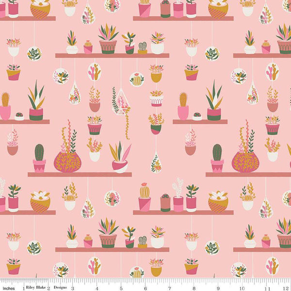 SALE Arid Oasis Hanging Garden C12491 Pink by Riley Blake Designs - Cactus Cacti Succulents Succulent Plants - Quilting Cotton Fabric