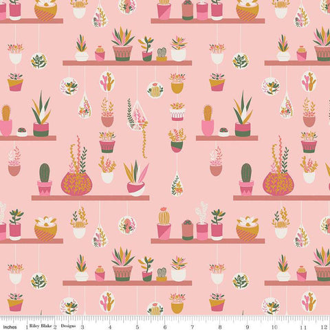 Arid Oasis Hanging Garden C12491 Pink by Riley Blake Designs - Cactus Cacti Succulents Succulent Plants - Quilting Cotton Fabric