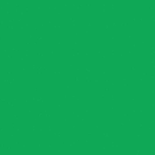 SALE Emerald City Confetti Cottons - Riley Blake Designs - Green Solid - Quilting Cotton Fabric