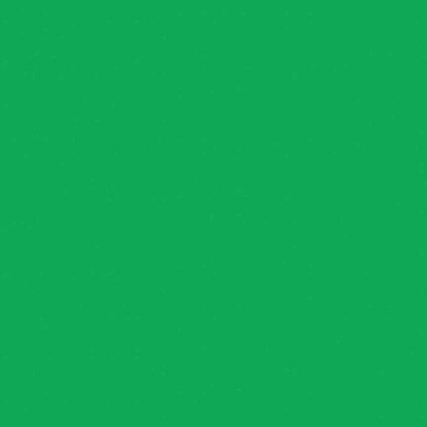 Emerald City Confetti Cottons by Riley Blake Designs - Green Solid - Quilting Cotton Fabric
