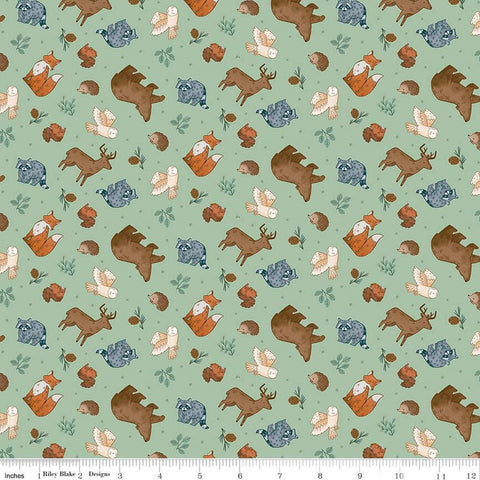 FLANNEL Camp Woodland Animals F12571 Pistachio - Riley Blake - Bears Foxes Racoons Squirrels Owls Hedgehogs - FLANNEL Cotton Fabric