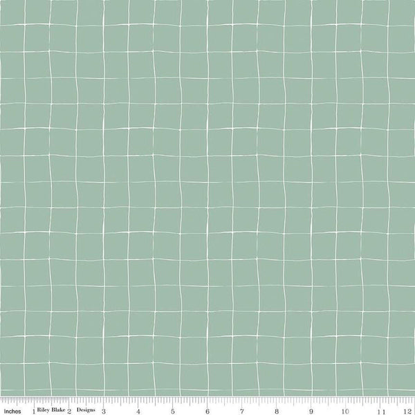 Forgotten Memories Grid C12757 Sea Glass - Riley Blake Designs - Irregular Grid - Quilting Cotton Fabric