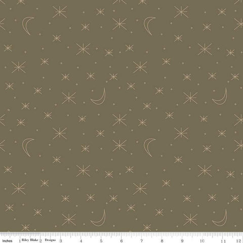 Forest Friends Sky Gazing C12694 Moody - Riley Blake Designs - Asterisk Stars Moons Small Circles - Quilting Cotton Fabric