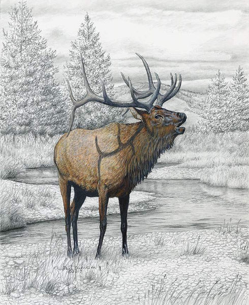 Big Game Elk Pencil Painting Panel PD12974 by Riley Blake Designs - DIGITALLY PRINTED Animal Outdoors - Quilting Cotton Fabric