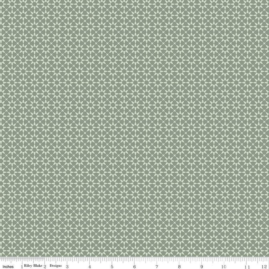 Gingham Fields Starbursts C13354 Lodge Pole - Riley Blake Designs - Geometric - Quilting Cotton Fabric