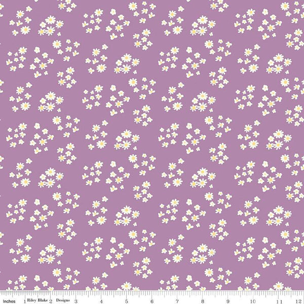 Hello Spring Daisies C12962 Lavender - Riley Blake Designs - Floral Flowers Cream Daisy - Quilting Cotton Fabric