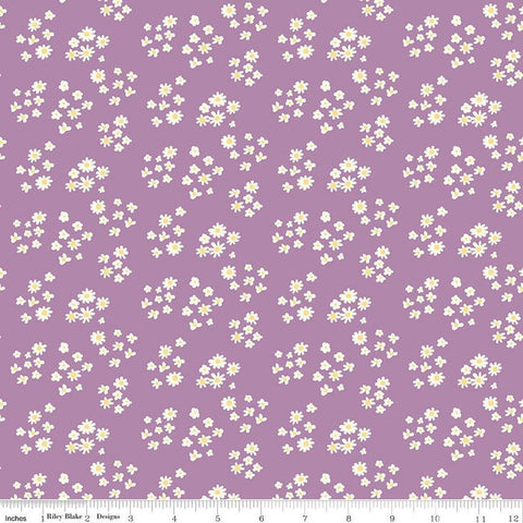 Hello Spring Daisies C12962 Lavender - Riley Blake Designs - Floral Flowers Cream Daisy - Quilting Cotton Fabric