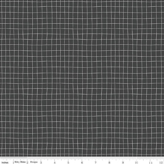 SALE Wild & Free Grid C12936 Charcoal - Riley Blake Designs - Irregular Grid - Quilting Cotton Fabric