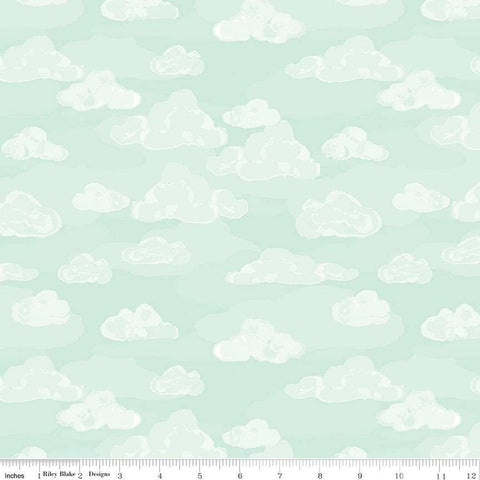 Wild and Free Clouds C12934 Mint - Riley Blake Designs - Quilting Cotton Fabric