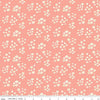SALE Hello Spring Daisies C12962 Coral - Riley Blake Designs - Floral Flowers Cream Daisy - Quilting Cotton Fabric