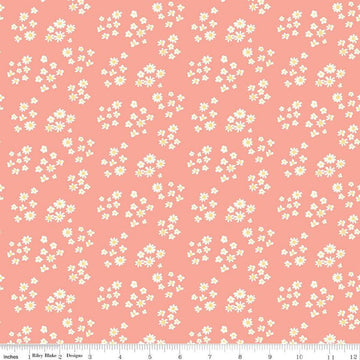 SALE Hello Spring Daisies C12962 Coral - Riley Blake Designs - Floral Flowers Cream Daisy - Quilting Cotton Fabric