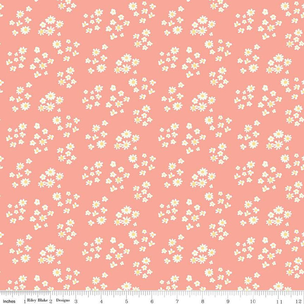 SALE Hello Spring Daisies C12962 Coral - Riley Blake Designs - Floral Flowers Cream Daisy - Quilting Cotton Fabric
