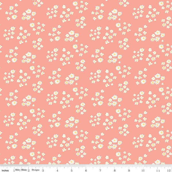 SALE Hello Spring Daisies C12962 Coral - Riley Blake Designs - Floral Flowers Cream Daisy - Quilting Cotton Fabric