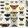 SALE Art Journal Butterflies CD13035 Light Gray - Riley Blake Designs - DIGITALLY PRINTED Butterfly Text - Quilting Cotton