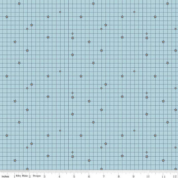 SALE Butterfly Blossom Grid C13272 Sky - Riley Blake Designs - Geometric Grid with Flowers - Quilting Cotton Fabric
