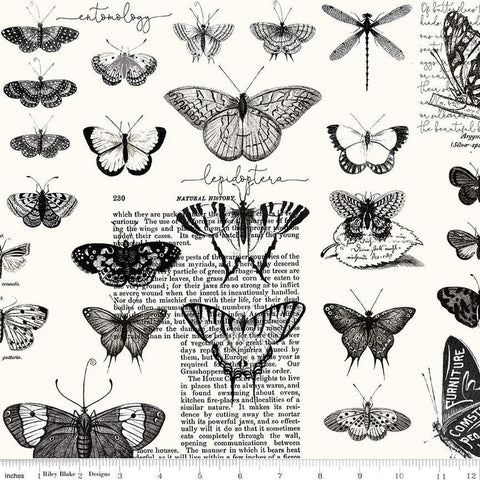 Art Journal Butterflies CD13035 White - Riley Blake Designs - DIGITALLY PRINTED Butterfly Text - Quilting Cotton