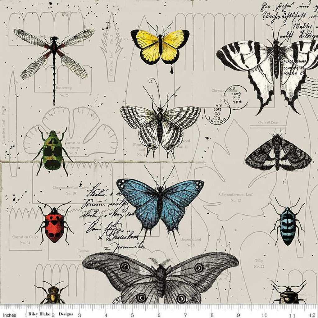 SALE LINEN Art Journal Envelopes LN13043 Natural  - Riley Blake Designs - Insects Drawings Text - Quilting Cotton Fabric