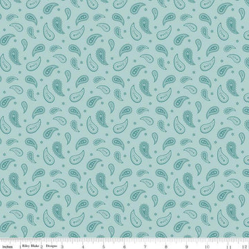 SALE Ally's Garden Paisley C13246 Aqua by Riley Blake Designs - Paisleys Daisies - Quilting Cotton Fabric