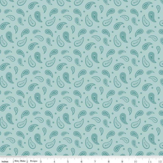 SALE Ally's Garden Paisley C13246 Aqua by Riley Blake Designs - Paisleys Daisies - Quilting Cotton Fabric