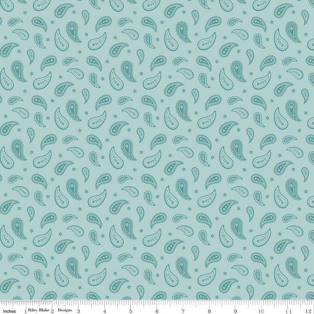 Ally's Garden Paisley C13246 Aqua by Riley Blake Designs - Paisleys Daisies - Quilting Cotton Fabric