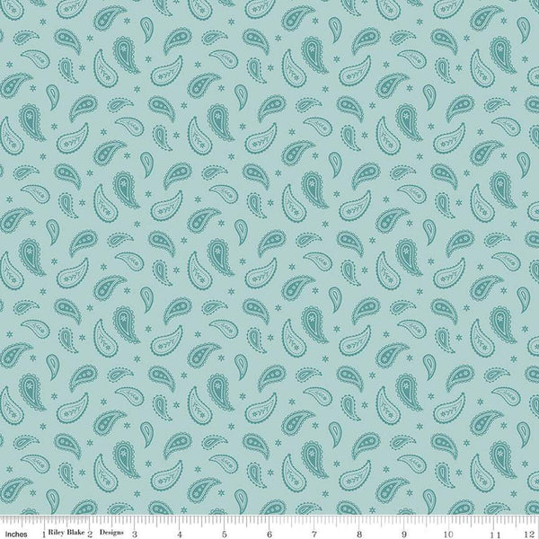 SALE Ally's Garden Paisley C13246 Aqua by Riley Blake Designs - Paisleys Daisies - Quilting Cotton Fabric