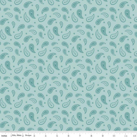 Ally's Garden Paisley C13246 Aqua by Riley Blake Designs - Paisleys Daisies - Quilting Cotton Fabric