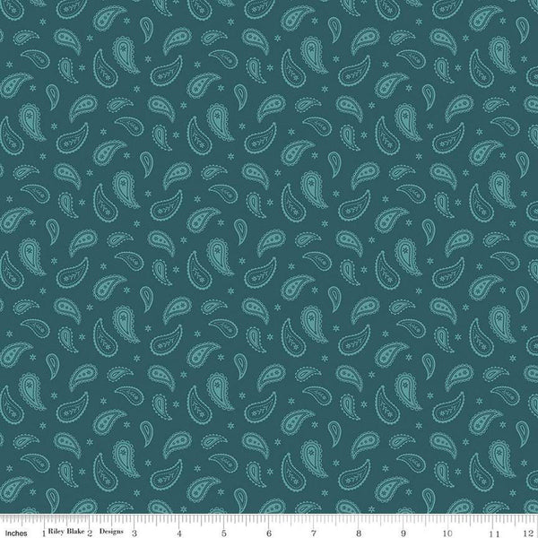 SALE Ally's Garden Paisley C13246 Colonial Blue by Riley Blake Designs - Paisleys Daisies - Quilting Cotton Fabric