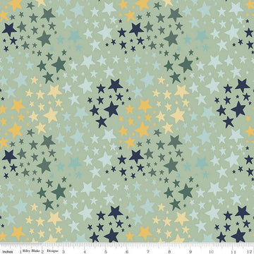 It's a Boy Stars C13254 Sage - Riley Blake Designs - Star - Quilting Cotton Fabric