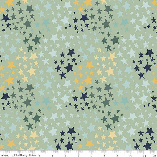 It's a Boy Stars C13254 Sage - Riley Blake Designs - Star - Quilting Cotton Fabric