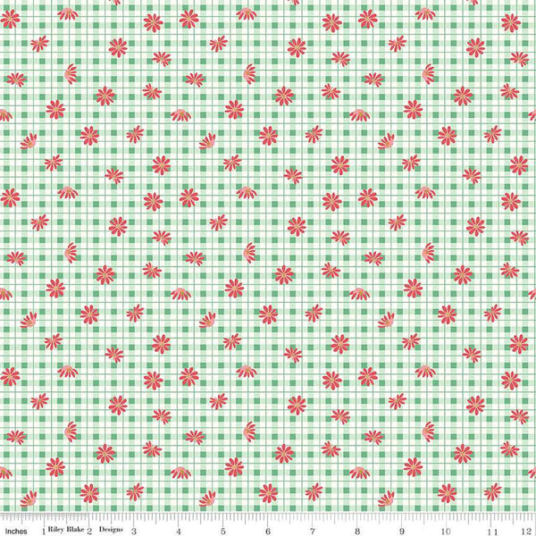 Sweet Acres Floral Gingham C13213 Alpine by Riley Blake Designs - Check Checks Flowers Off-White - Quilting Cotton Fabric