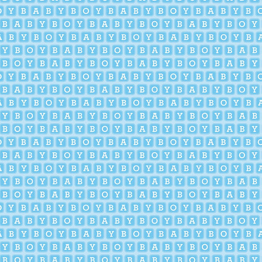 DEAL FLANNEL Baby Boy Blocks F13331 Blue - Riley Blake Designs - Children's Words Text - FLANNEL Cotton Fabric