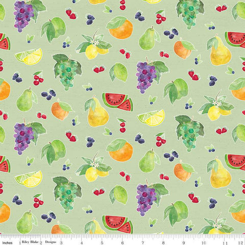 CLEARANCE Monthly Placemats August Fruit Toss C12415 Green - Riley Blake  - Berries Pears Grapes Watermelon  - Quilting Cotton
